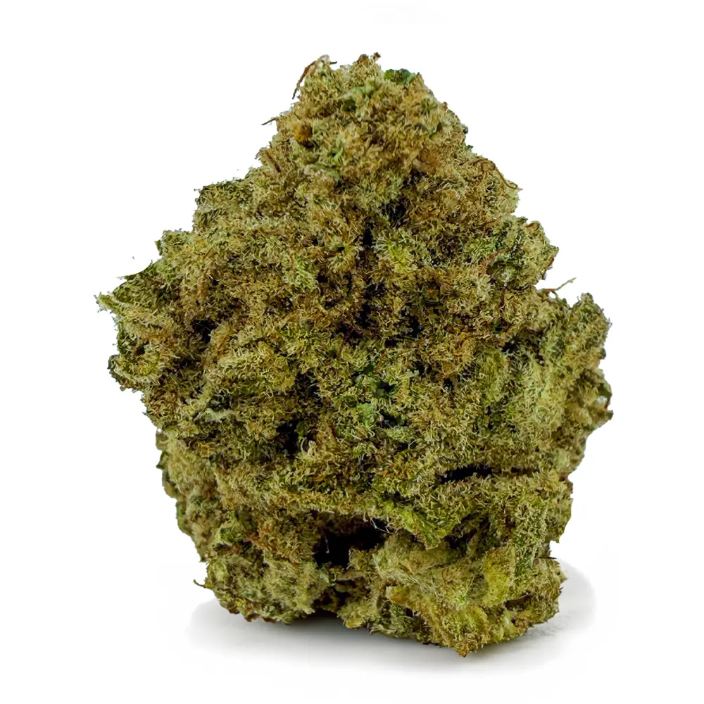 MANGO HAZE